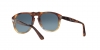PO0649 Sunglasses