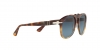PO0649 Sunglasses