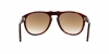 PO0649 Sunglasses
