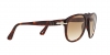 PO0649 Sunglasses