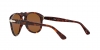 PO0649 Sunglasses