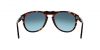 PO0649 Sunglasses