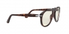 PO0649 Sunglasses