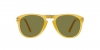 PO0714 Folding Sunglasses