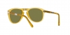 PO0714 Folding Sunglasses