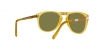 PO0714 Folding Sunglasses