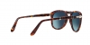 PO0714 Folding Sunglasses