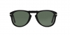 PO0714 Folding Sunglasses