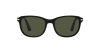 PO1935S Sunglasses