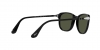 PO1935S Sunglasses