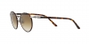 PO2422SJ Sunglasses