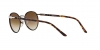 PO2422SJ Sunglasses