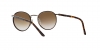 PO2422SJ Sunglasses