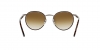 PO2422SJ Sunglasses