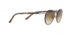 PO2422SJ Sunglasses