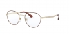 PO2460V Eyeglasses