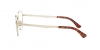 PO2460V Eyeglasses