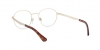 PO2460V Eyeglasses