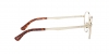 PO2460V Eyeglasses