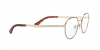 PO2460V Eyeglasses