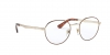 PO2460V Eyeglasses