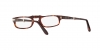 PO2886V Eyeglasses