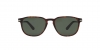 PO3019S Sunglasses