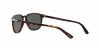 PO3019S Sunglasses