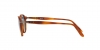 PO3092SM Sunglasses