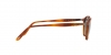 PO3092SM Sunglasses