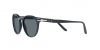 PO3092SM Sunglasses