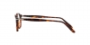 PO3092V Eyeglasses
