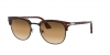 PO3105S Cellor Sunglasses