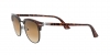 PO3105S Cellor Sunglasses