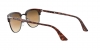 PO3105S Cellor Sunglasses