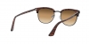 PO3105S Cellor Sunglasses