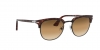 PO3105S Cellor Sunglasses