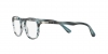 PO3143V Eyeglasses