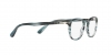 PO3143V Eyeglasses