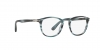 PO3143V Eyeglasses