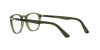 PO3143V Eyeglasses