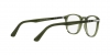 PO3143V Eyeglasses