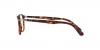 PO3143V Eyeglasses