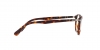 PO3143V Eyeglasses