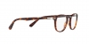 PO3143V Eyeglasses