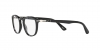 PO3143V Eyeglasses