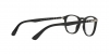 PO3143V Eyeglasses