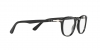 PO3143V Eyeglasses