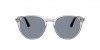 PO3143V Eyeglasses