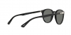 PO3143V Eyeglasses